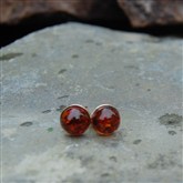 (GSO2) Gold Amber Stud Earrings