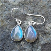 (LB1) Labradordite Silver Earrings