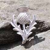 (SCBR4) Silver single Thistle Brooch