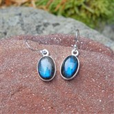 (LBE1) Large Oval Labrodite Earrings