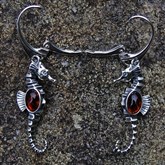 (AED26) Silver And Amber Seahorse Earrings