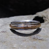 (STR13) Silver & Gold Spinning Ring