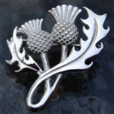 (SBR3) Silver Thistle Brooch